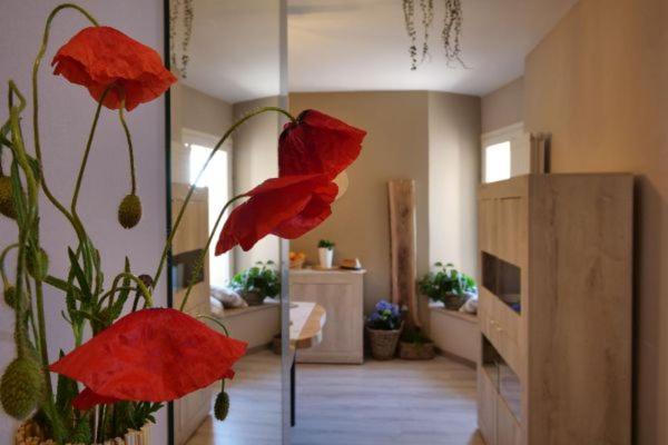Il Sogno Apartment Спело Екстериор снимка
