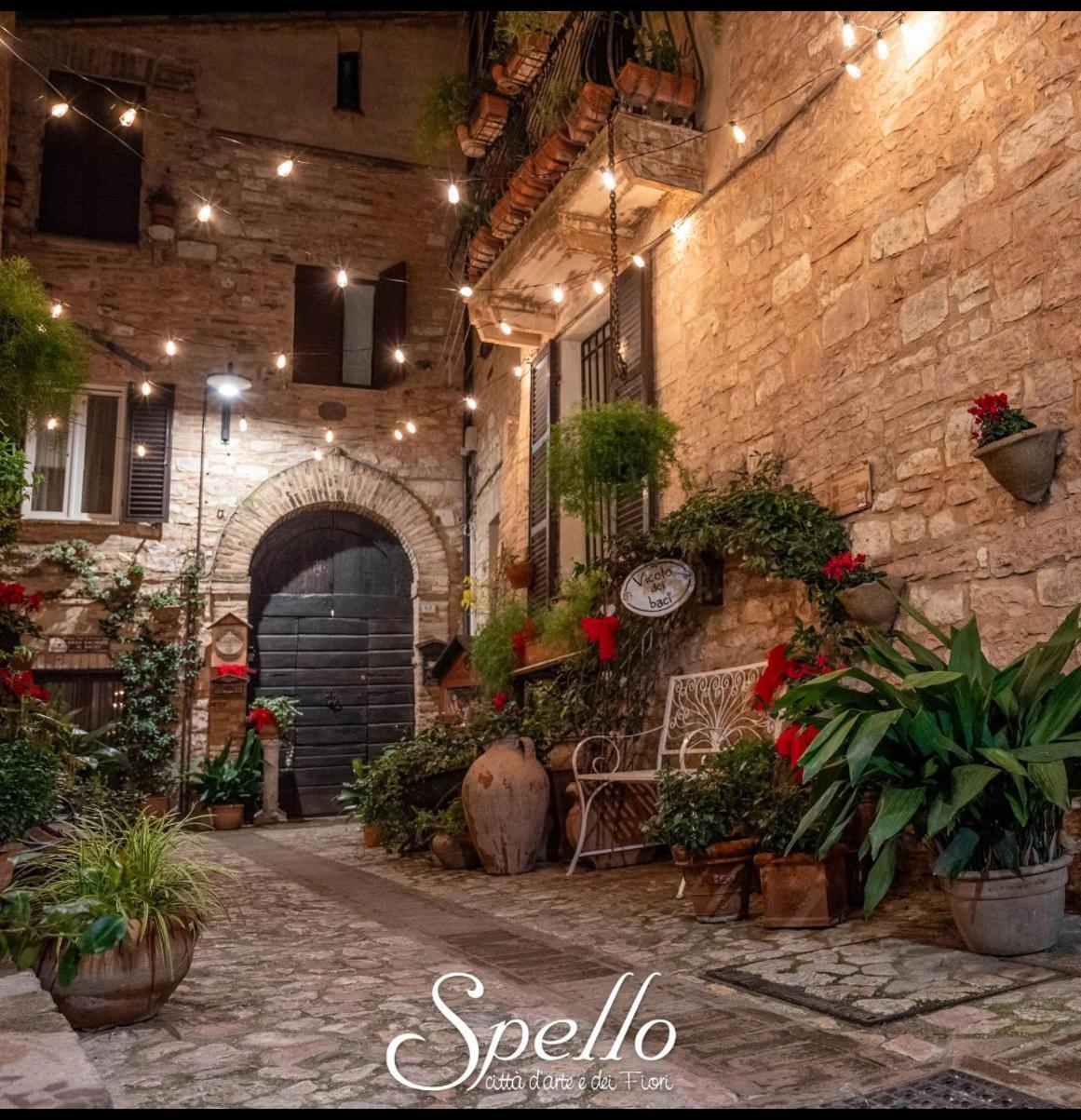 Il Sogno Apartment Спело Екстериор снимка